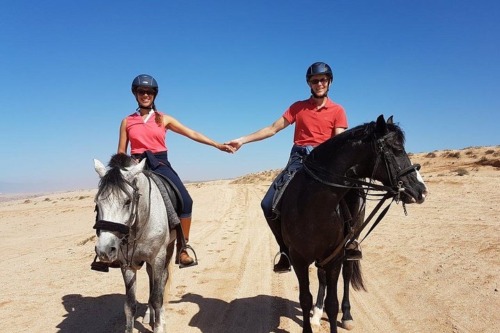 Horse Riding In Agadir  - Image 4