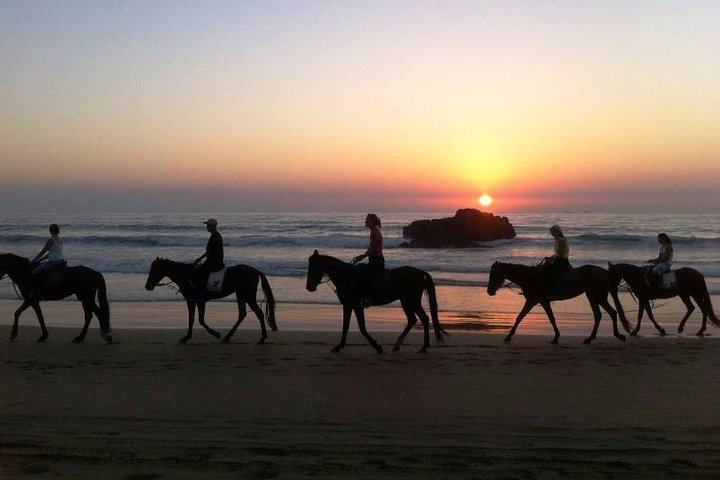 Horse Tour : 2 hours horse ride in Agadir - Image 2