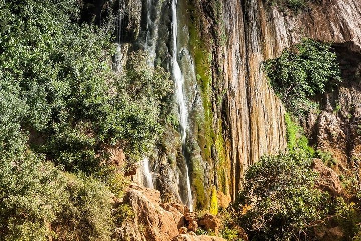 Imouzzer Waterfall Excursion & Paradise Valley - Image 4