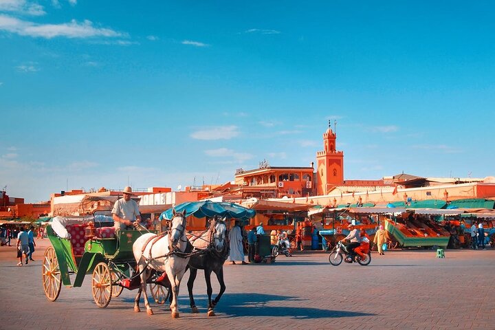 Marrakech Guided Day Trip From Taghazout  - Image 5