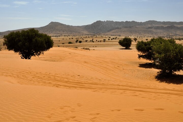 Mini Sahara Atlantic Ocean Jeep Tour With Lunch  - Image 1