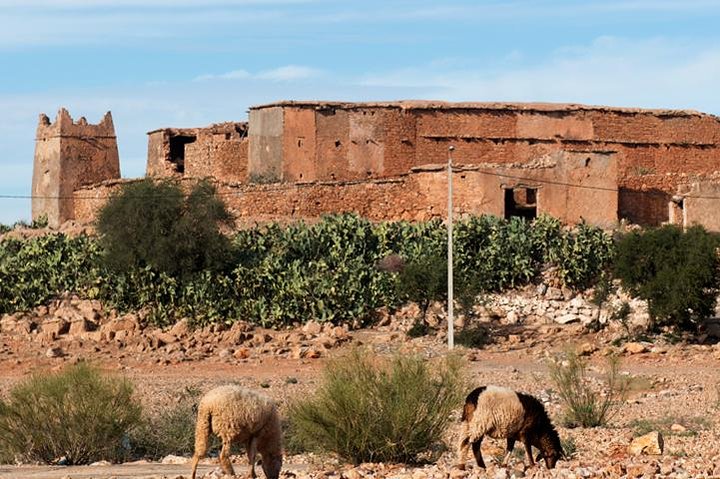 Offshore Amazigh Fortified Granaries - Image 1