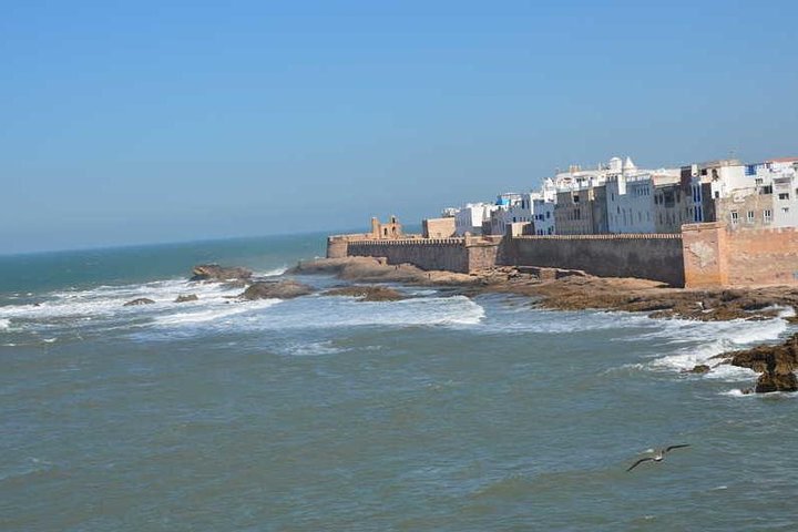 One Shared Day Trip to Essaouira From Agadir hotels & taghazout  - Image 1