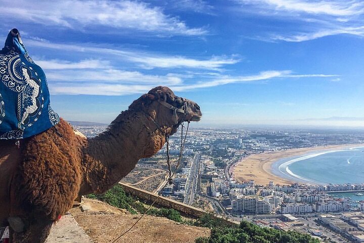 Package of 4 Excursions: City tour + 2h Quad + 1h Camel ride & Paradise Valley - Image 2