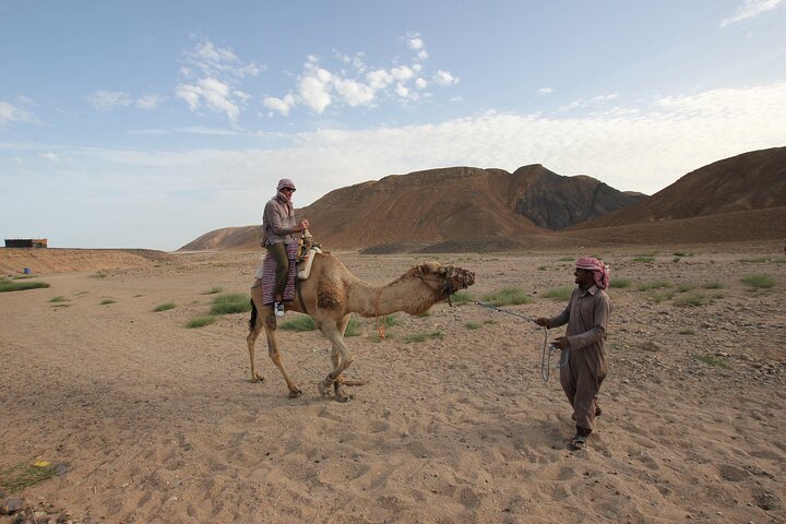 Paradise Valley and Camel Ride and Spa in All-in-One in Agadir - Image 4