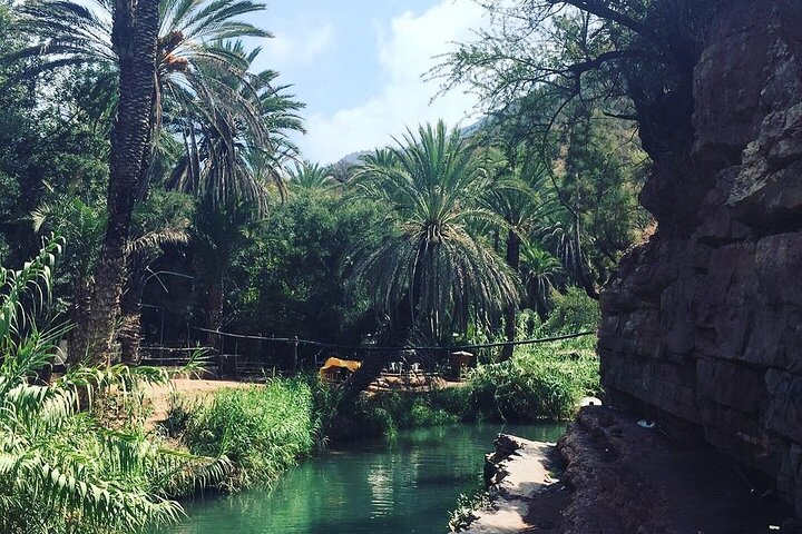 Paradise Valley And Taghazout Private Day Trip  - Image 3