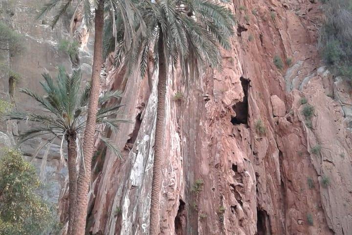  Paradise Valley excursion & berber Breakfast included  - Image 4