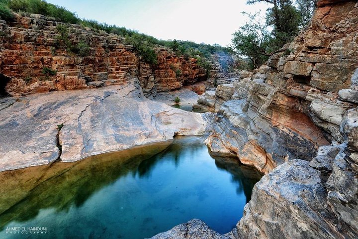 Paradise Valley (half day tour) - Image 2