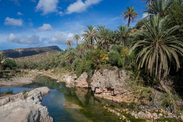 Paradise Valley Hiking and Swiming Tour From Agadir  - Image 4