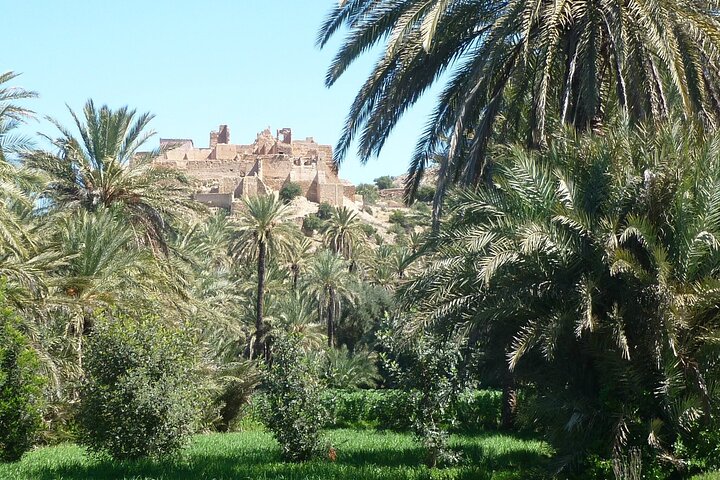 Private Day Trip of Taroudant & Tiout from Agadir - Image 3