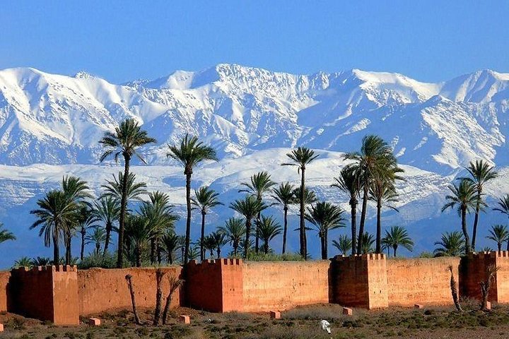 Private Excursion to Marrakech from Agadir - Image 1