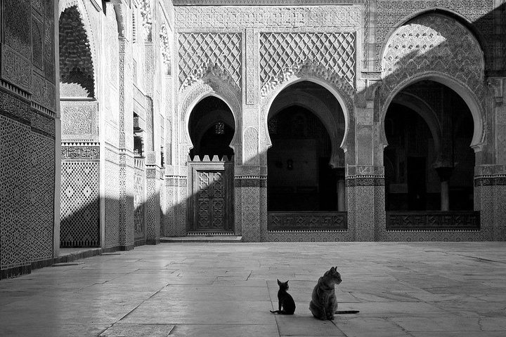 Private Excursion to Marrakech from Agadir - Image 4