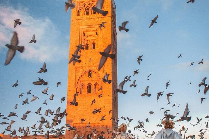 Private Excursion to Marrakech from Agadir - Image 3