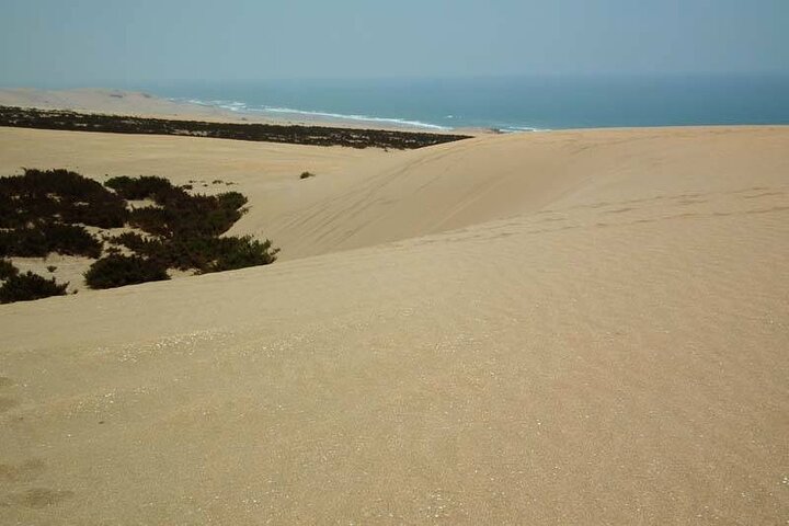 Private Full Day Tour in Massa Morocco with Lunch - Image 2