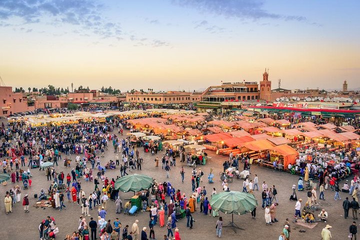 Private Marrakech Day Trip From Agadir - Image 2