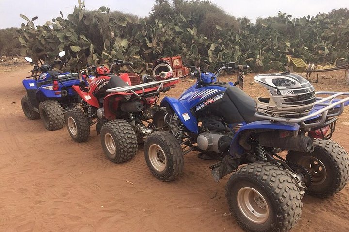 Quad adventure - IN AGADIR, DUNES, FOREST, BEACH - Image 5