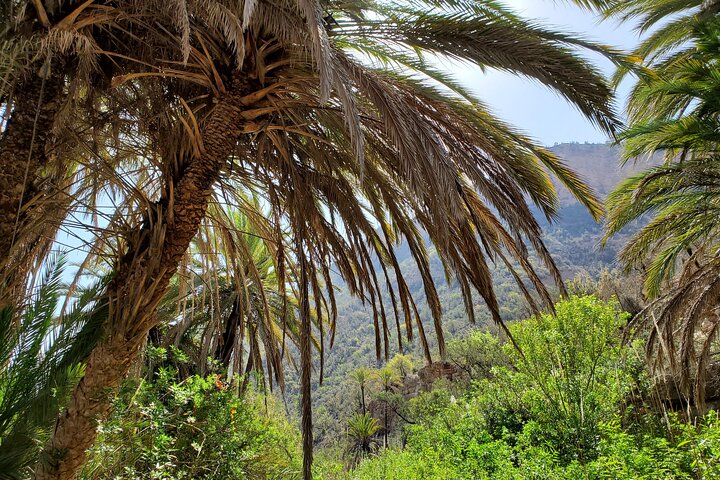Sahara Desert and Paradise Valley including Tajine for Lunch - Image 5