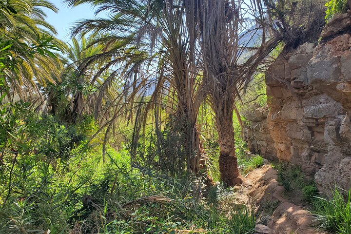 Sahara Desert and Paradise Valley including Tajine for Lunch - Image 4