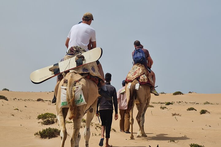 Sahara desert Dunes, Camel Ride & Sandboarding including Pickup - Image 2