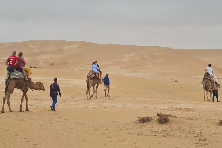 Sahara desert Dunes, Camel Ride & Sandboarding including Pickup - Image 5