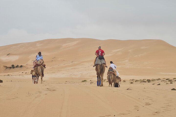 Sahara desert Dunes, Camel Ride & Sandboarding including Pickup - Image 1