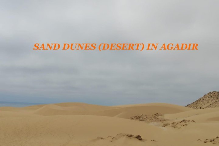 Sahara Tour : Half day trip to sahara (sand dunes ) with lunch  - Image 4