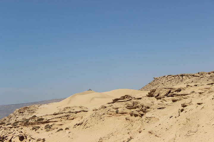 Sahara Tour : Half day trip to sahara (sand dunes ) with lunch  - Image 2