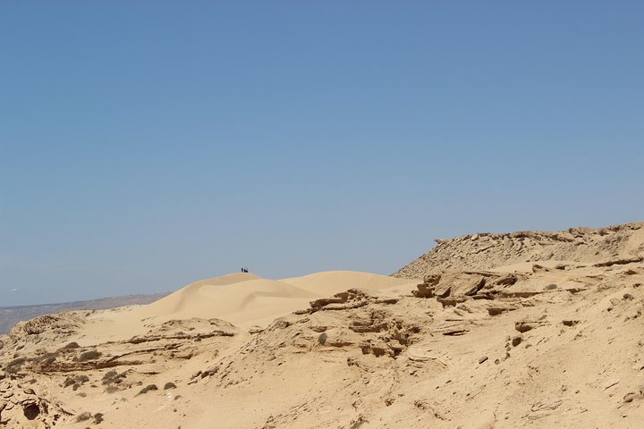 Sahara Tour : Half day trip to sahara (sand dunes ) with lunch  - Image 3