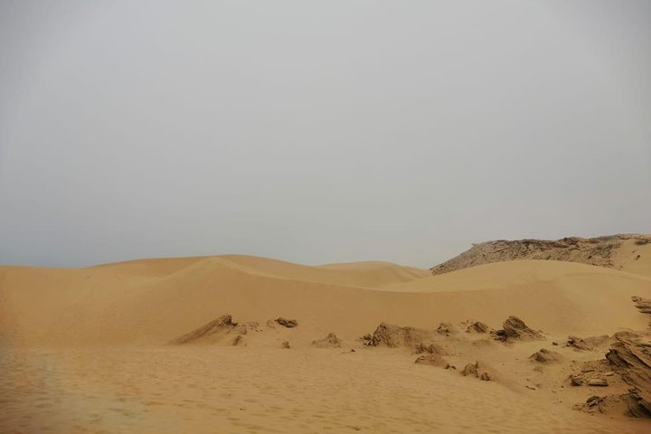 Sandboarding guided experience from Agadir - Image 4