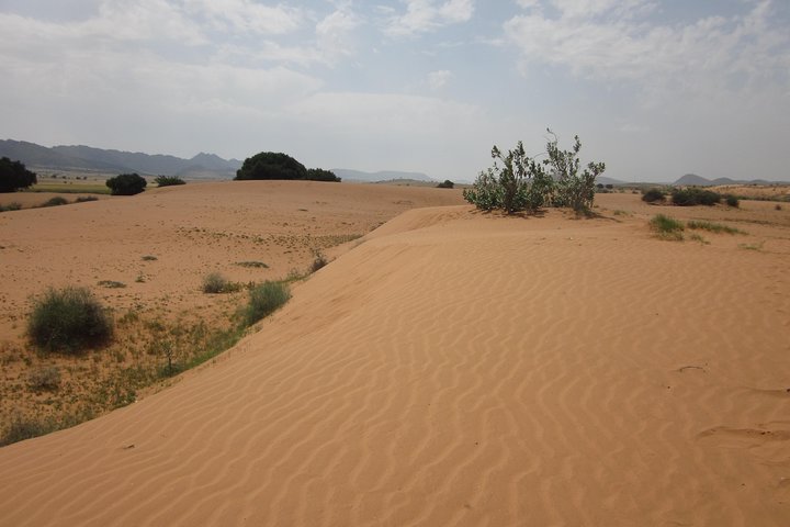 Small Sahara Desert From Agadir With Lunch 4x4 - Image 2