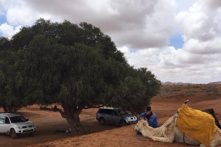 SMALL SAHARA & SILVER CITY- MASSA & TIZNIT IN 4x4 WITH LUNCH IN BERBER STYLE - Image 3