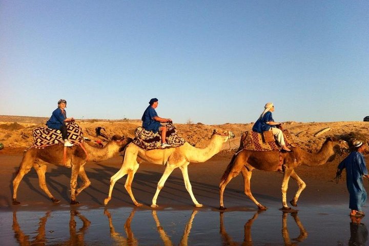 Sunset Camel Ride In Agadir  - Image 2