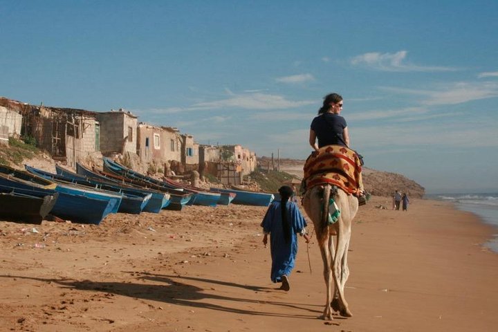 Sunset Camel Ride In Agadir  - Image 5