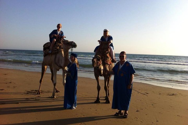 Sunset Camel Ride In Agadir  - Image 3