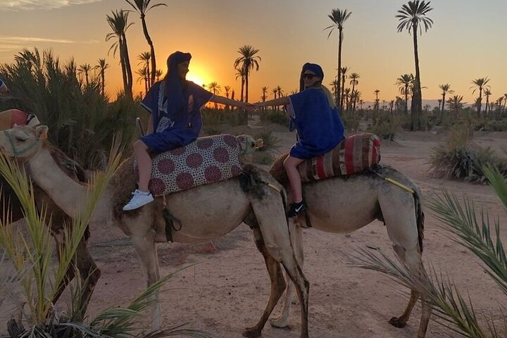 Sunset Camel Ride in Agadir or Taghazout With Transfers - Image 1