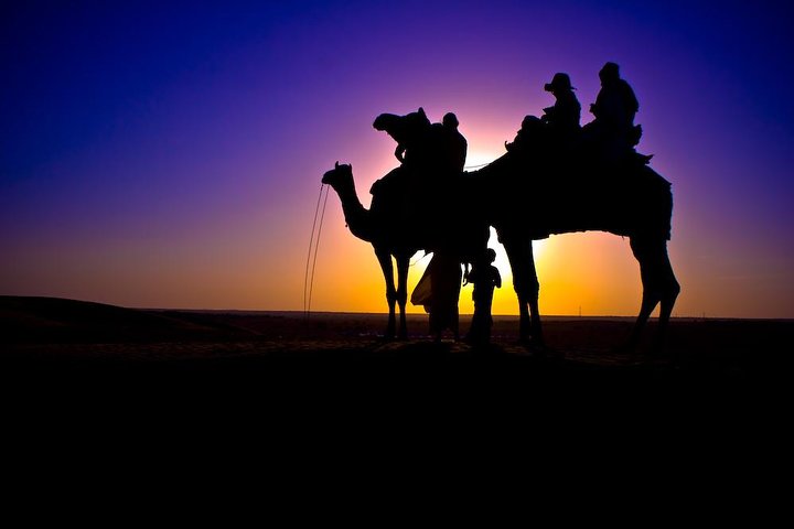 Sunset Camel Ride in Agadir or Taghazout With Transfers - Image 2