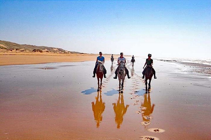 Taghazout Horse Trekking  - Image 3