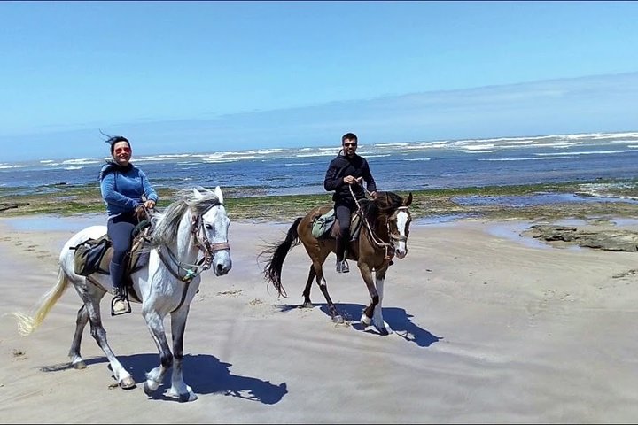 Taghazout Horse Trekking  - Image 4