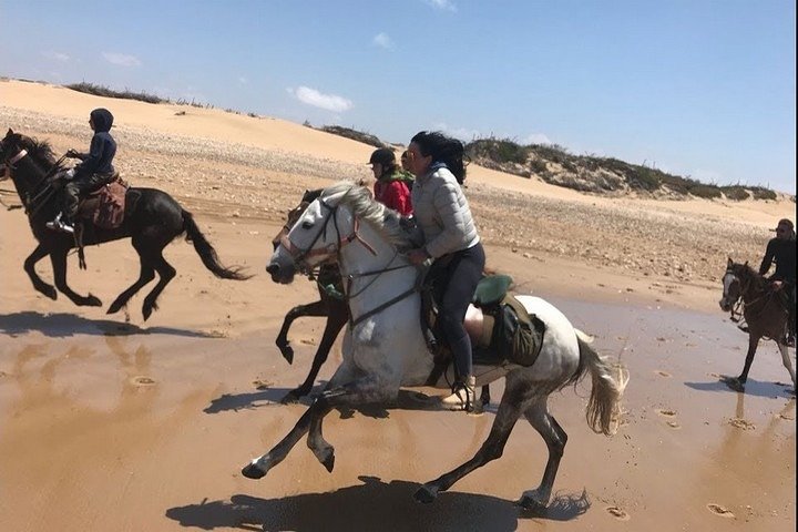 Taghazout Horse Trekking  - Image 2