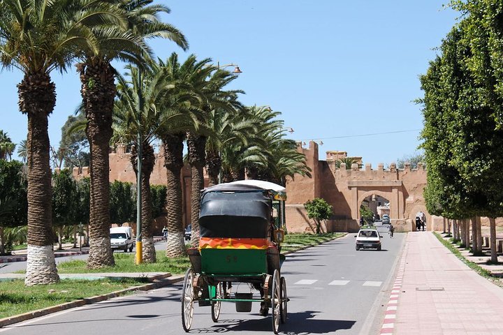Taroudant and Tiout Day Trip From Agadir With Lunch - Image 2