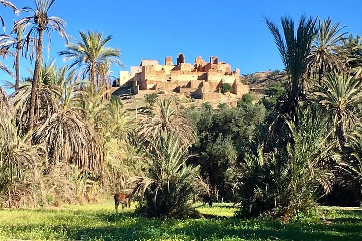 Taroudant and Tiout the mini Marrakech  - Image 5