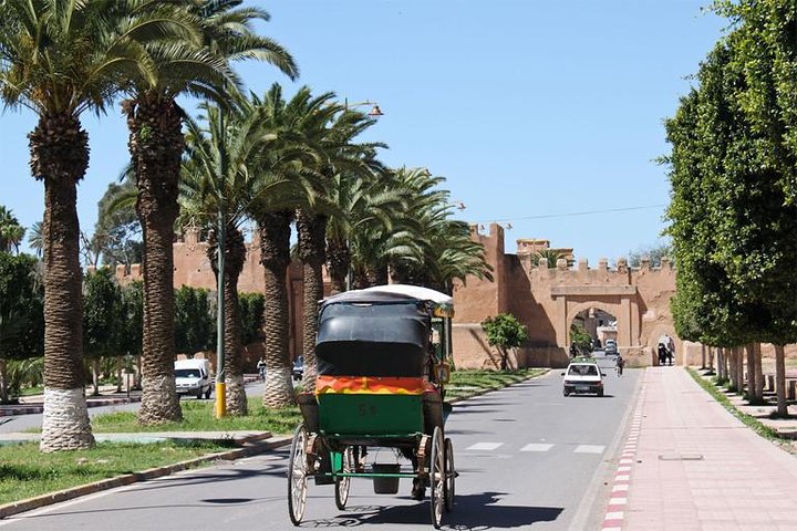  Taroudant " small marrakech " half-Day Trip from agadir - Image 4