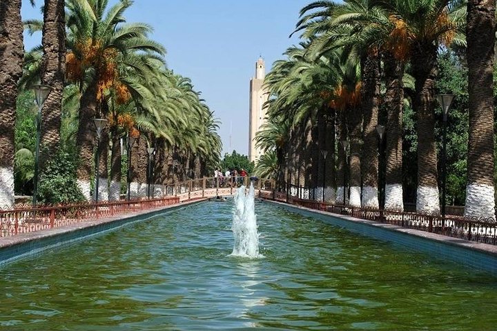 taroudant & tiout excursion from taghazoute bay & paradise beach surf & yoga - Image 2