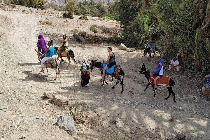 taroudant & tiout excursion from taghazoute bay & paradise beach surf & yoga - Image 5