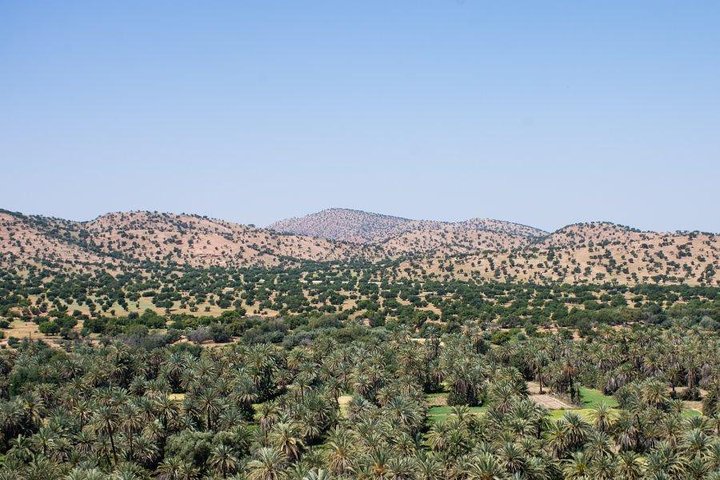 taroudant & tiout excursion from taghazoute bay & paradise beach surf & yoga - Image 4