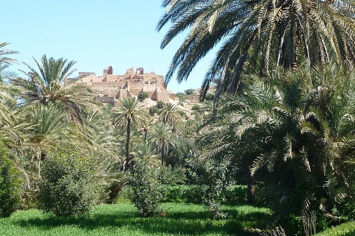 Taroudant & Tiout Oasis Shore Excursion - Image 3