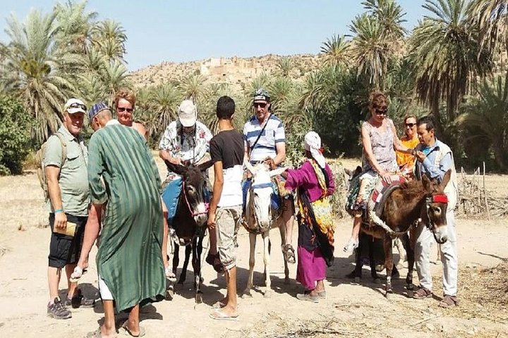 Taroudant & Tiout Oasis Shore Excursion - Image 5