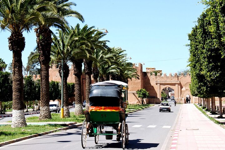 Visit Taroudant and Tiout 1 day From Agadir - Image 2