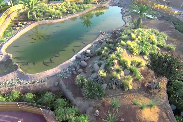 Visite the Crocodiles Park and Botanic garden - Image 3