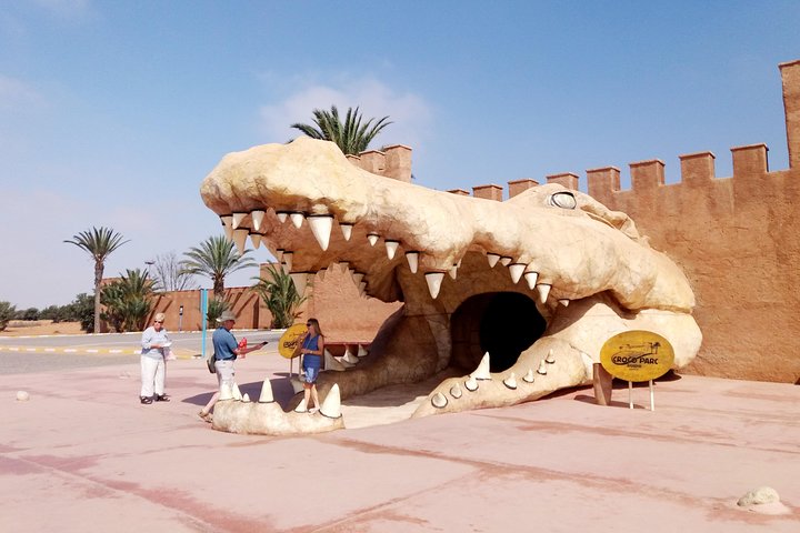 Visite the Crocodiles Park and Botanic garden - Image 4